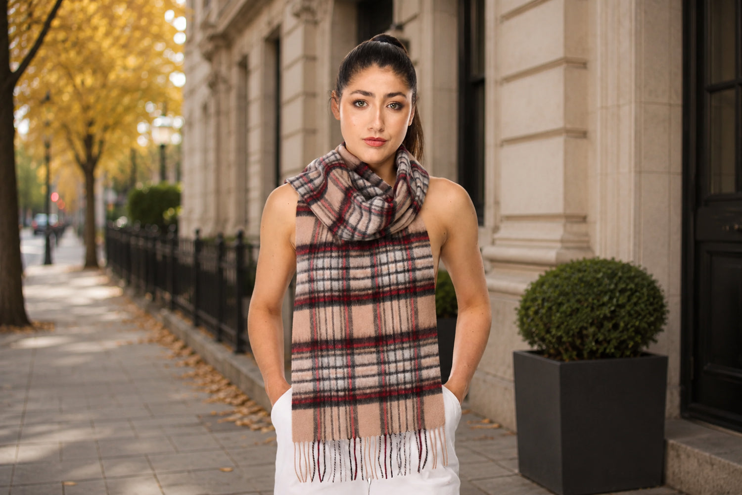 Cashmere Scarves​