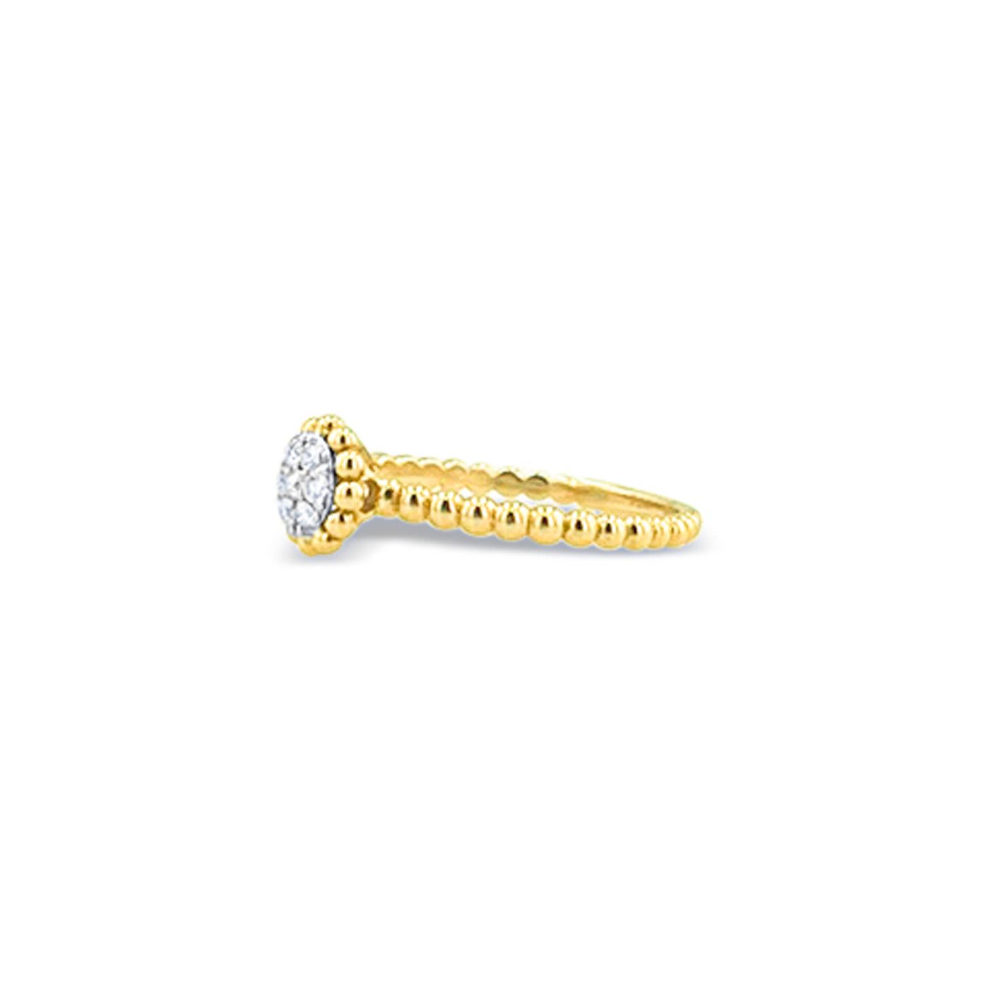 Lucchi 18k White and Yellow Gold with Diamond - Ring Style 51 (Size 15)