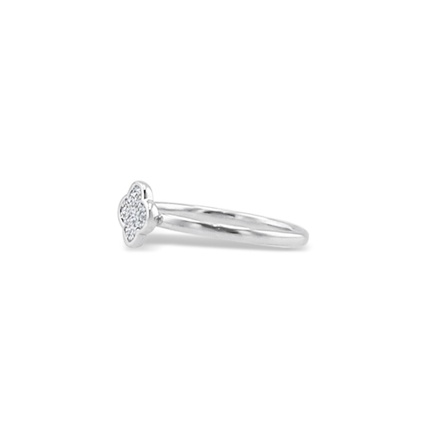 Lucchi 18k White Gold with Diamond - Ring Style 11 (Size: 14)